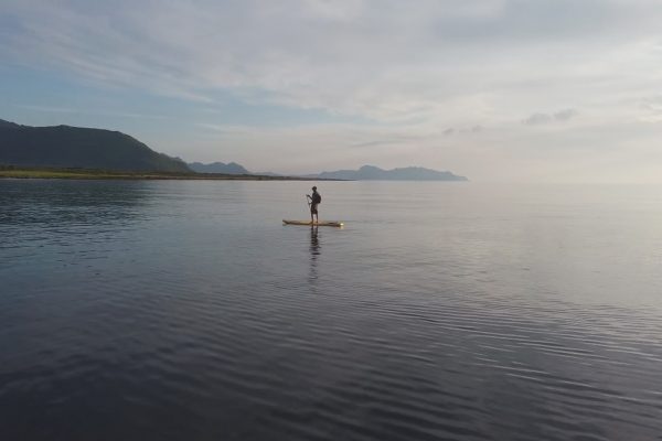 Image1